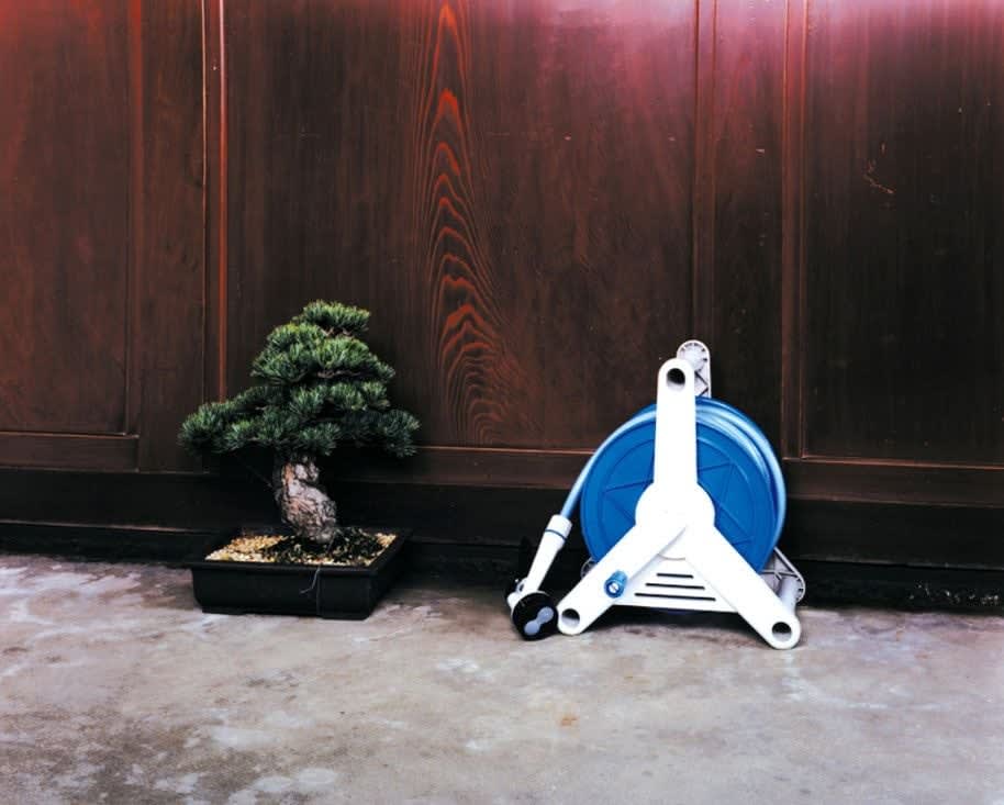 Takashi Yasumura, A Bonsai Tree and a Watering Hose, 1999