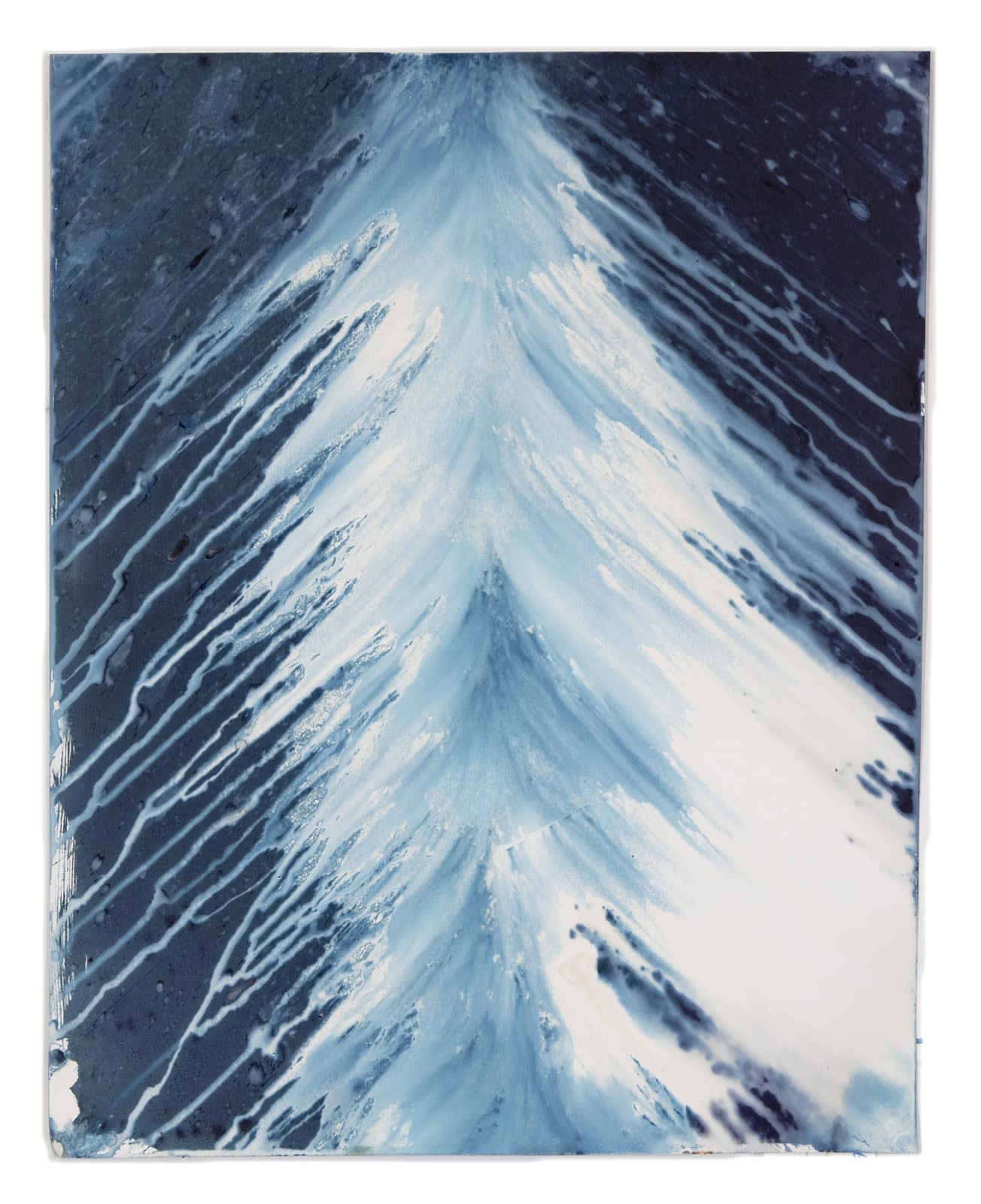 Meghann Riepenhoff, Ecotone #927 (Bainbridge Island, WA 07.17.20, Draped on Lilac, Brief Shower), 2020