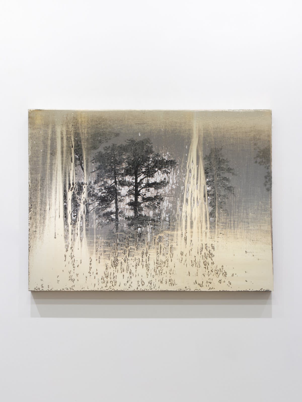 Matthew Brandt, AgXSB2027 (San Bernardino Forest), 2023