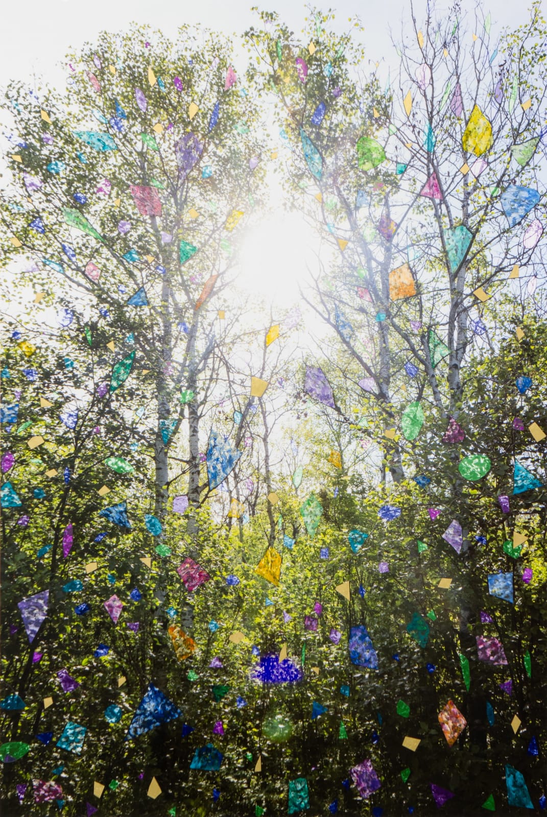 Sarah Anne Johnson, BSIS4, 2025