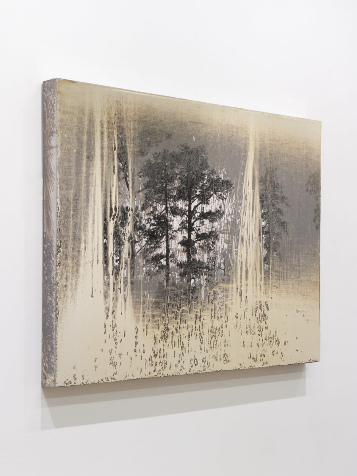 Matthew Brandt, AgXSB2027 (San Bernardino Forest), 2023