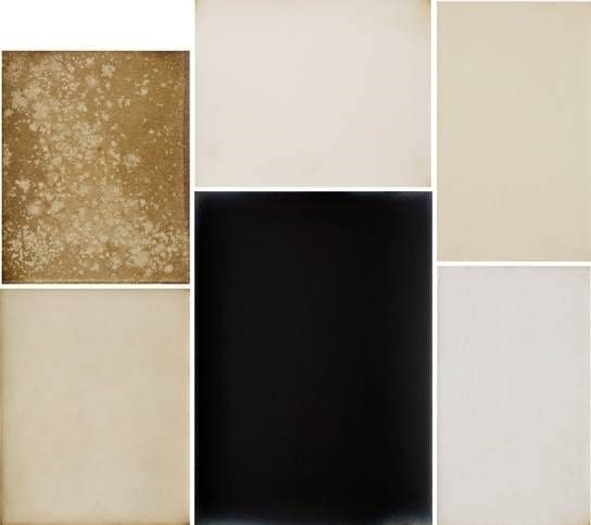 Alison Rossiter, Compendium 1905-1909, 2018