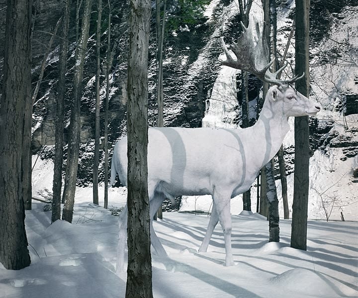 Simen Johan, Untitled #140, 2007