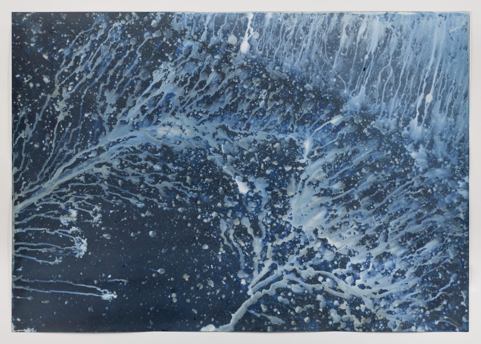 Meghann Riepenhoff, Day 2: Prussian Blue pigment + windfall pine branches + wintry precipitation, 2024
