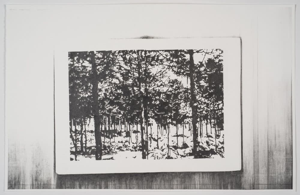 Molly Springfield, Chapter III, pages 60-61, 2015