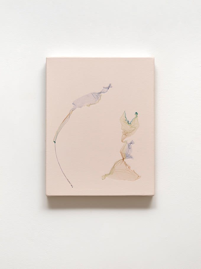 Beatrice Pediconi, I miei silenzi sono fiori curvi sotto la pioggia <br> after Michele Gentile, writer, 2024