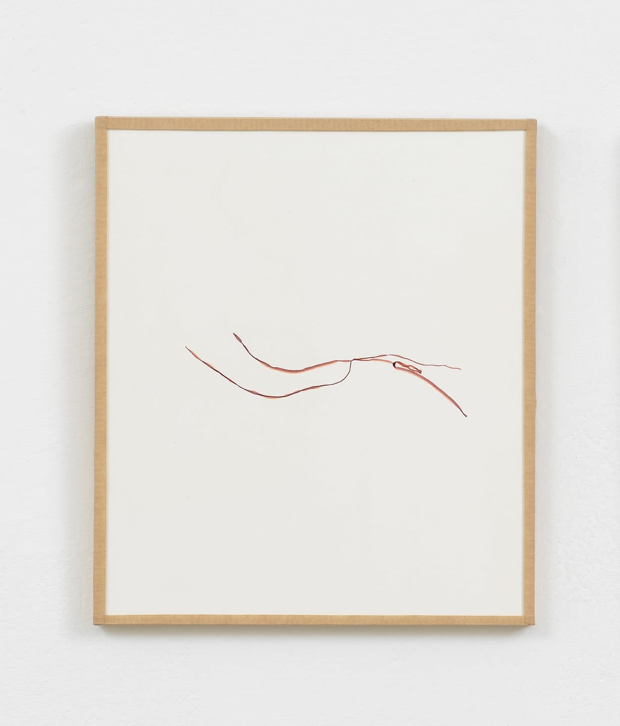 Beatrice Pediconi, Segno #7, 2020