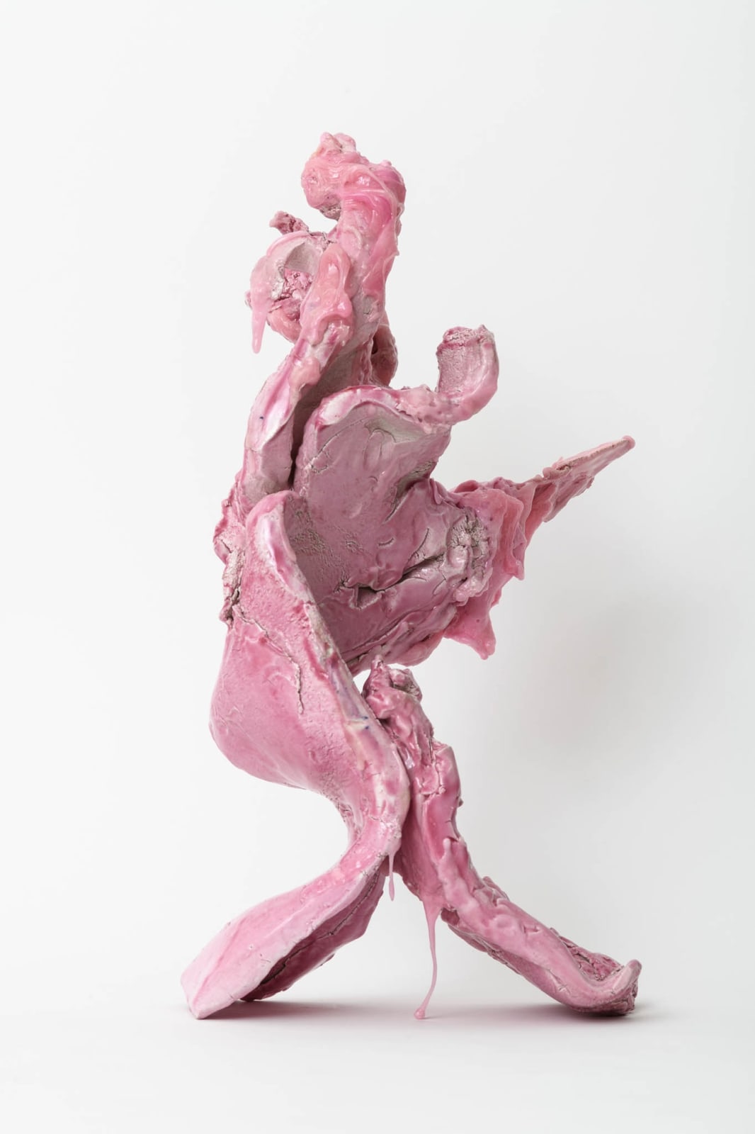 Guglielmo Maggini, Vertigini rosa (imparare a rialzarsi solo sulle proprie gambe),, 2024