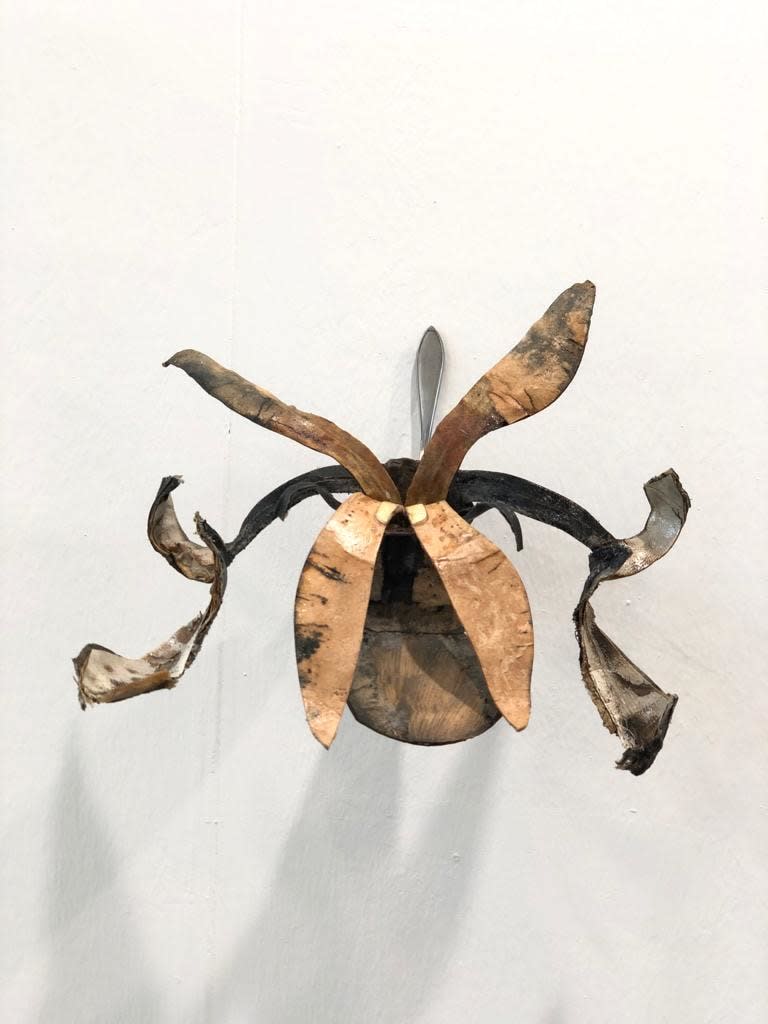 Kaarina Kaikkonen, The Queen of the Night, 2019