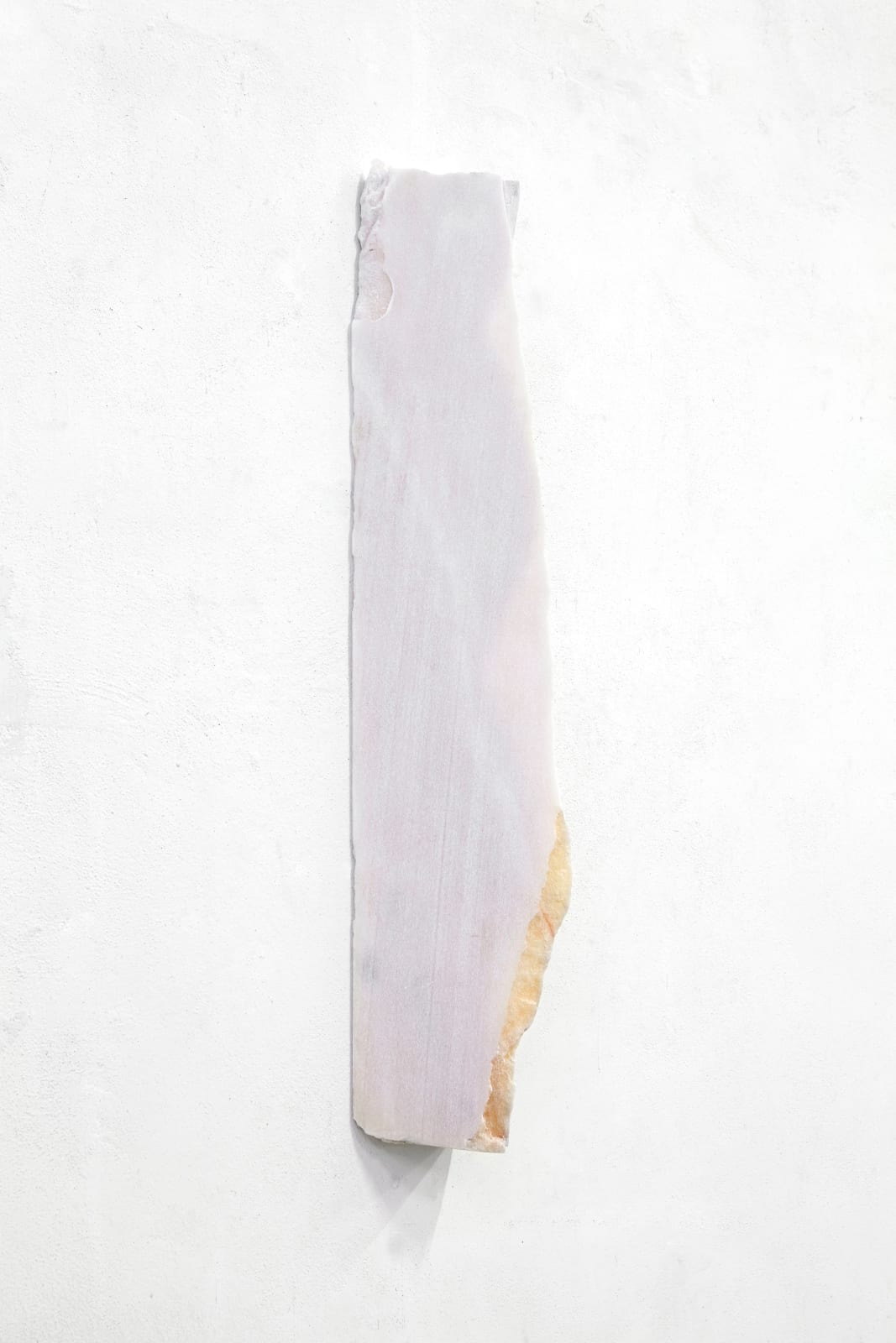 Fabrizio Prevedello, Ragazzo! Bisogna disegnare! (e due) (203), 2017