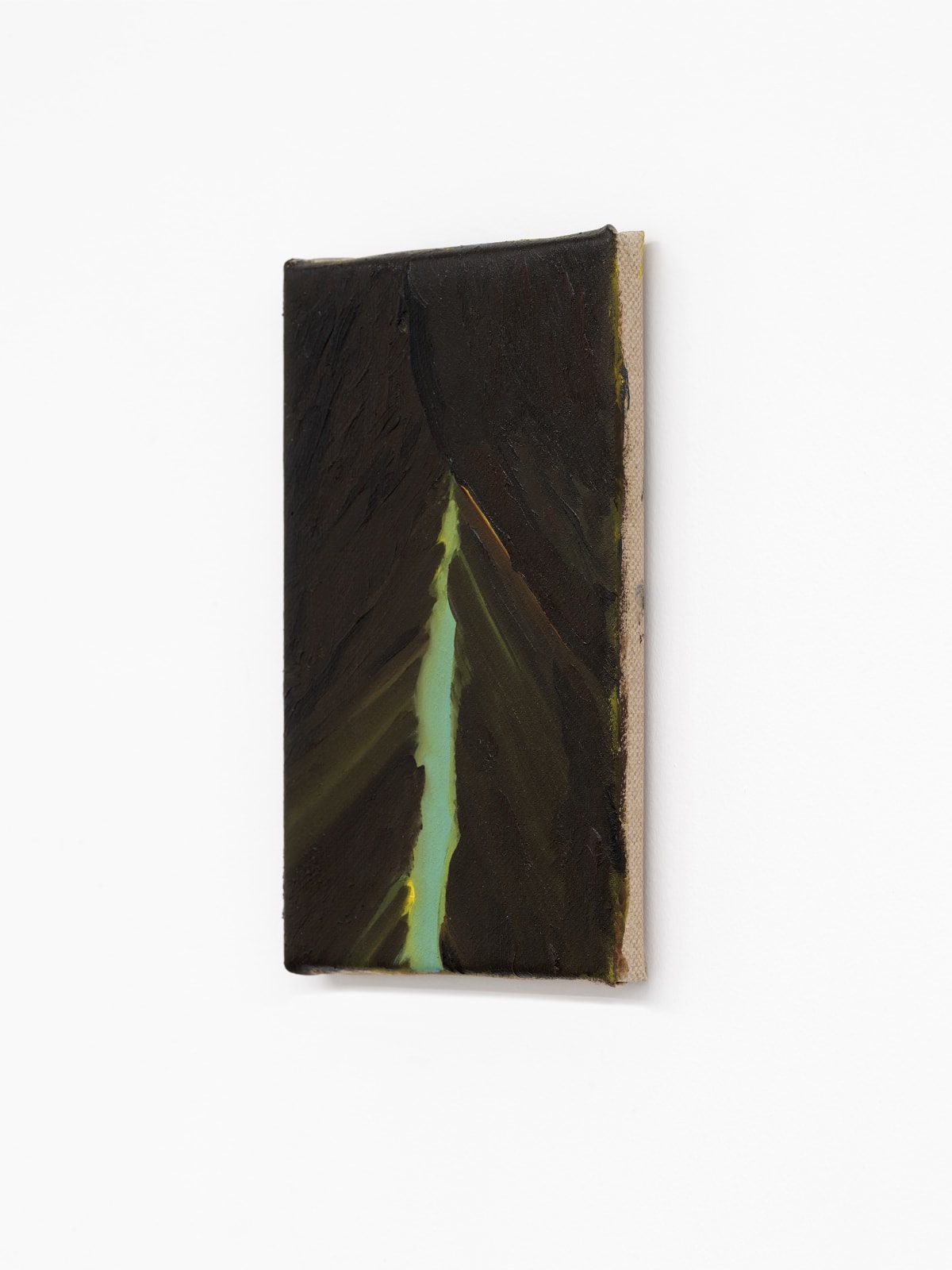 Michele Tocca, Piccolo Chiarore | A little flare, 2024
