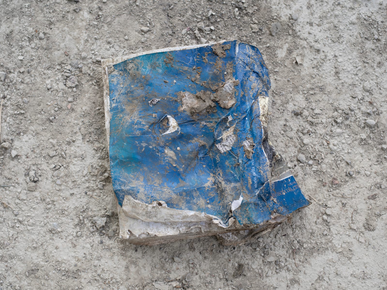 Silvia Camporesi, Blu from the series “Sommersi salvati”, 2023