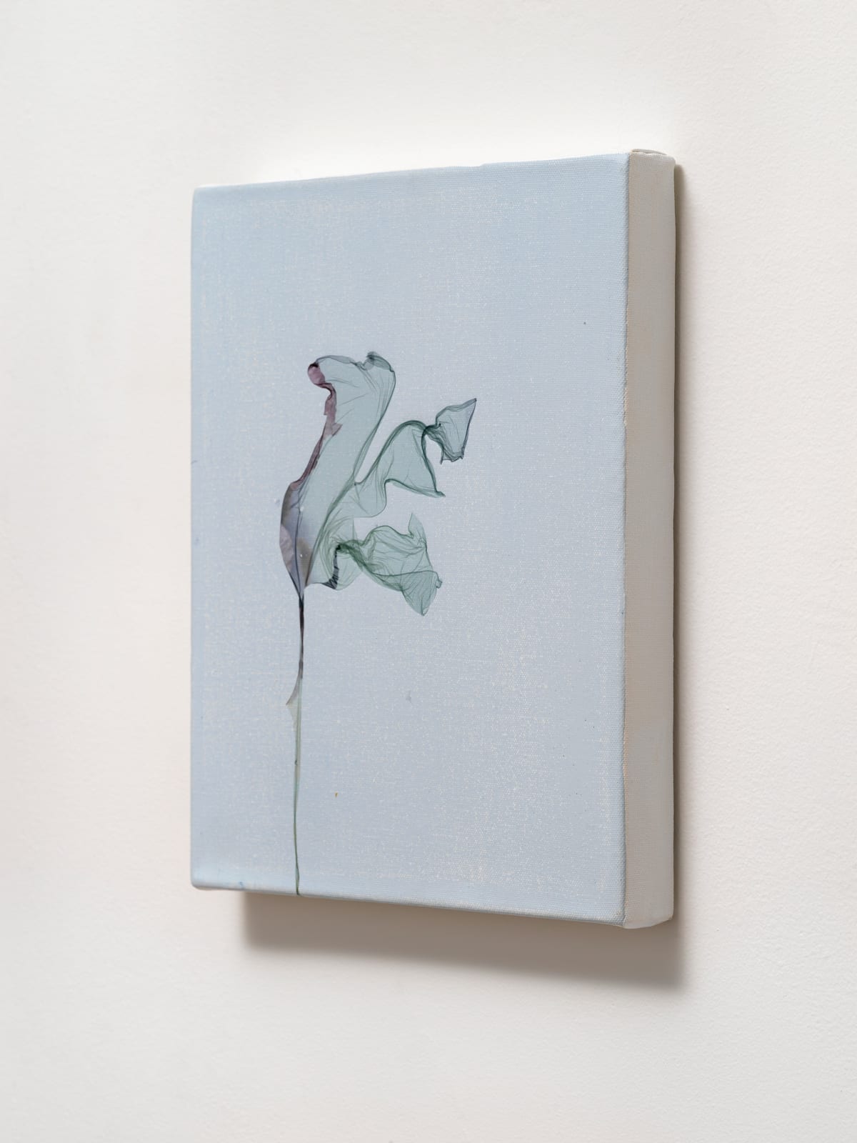 Beatrice Pediconi, Un qualsiasi passante crederebbe che la mia rosa vi rassomigli, ma lei, lei sola, è più importante di tutte voi, perché è lei che ho innaffiata <br> after Antoine de Saint-Exupèry writer, 2024