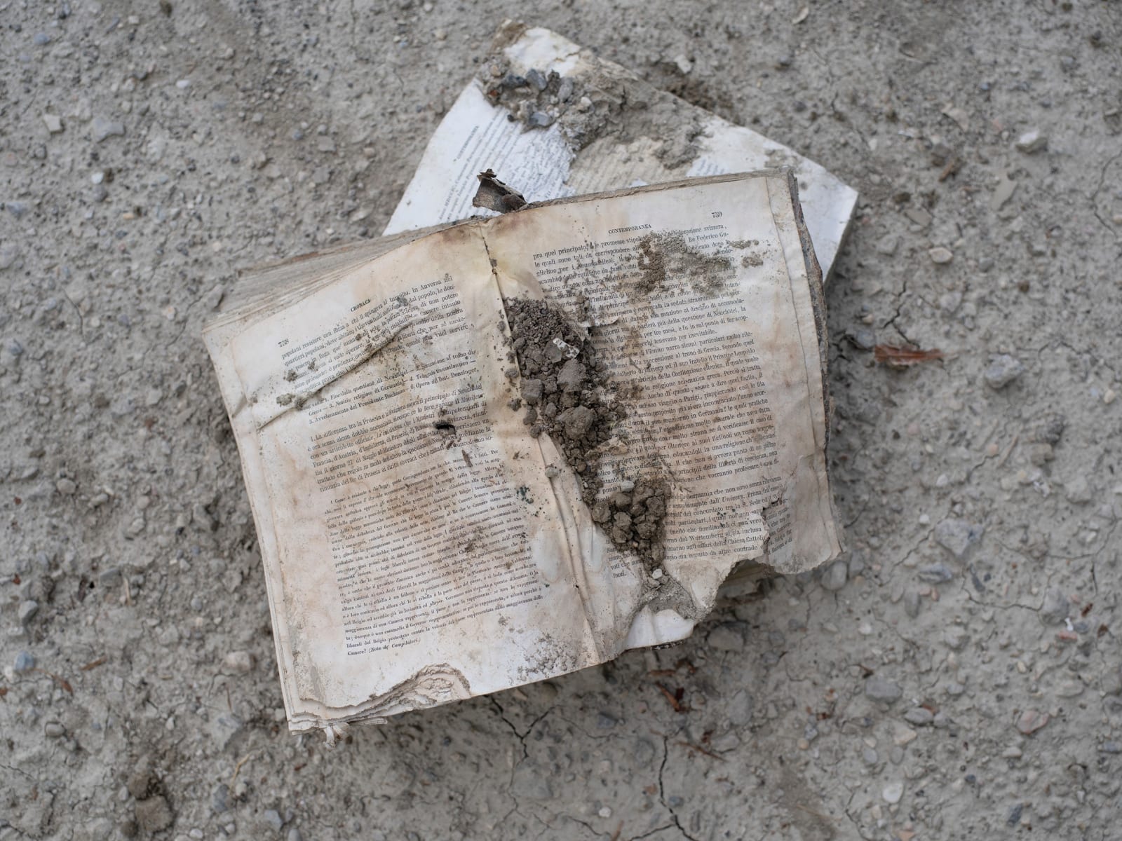 Silvia Camporesi, Cronaca contemporanea from the series “Sommersi salvati”, 2023