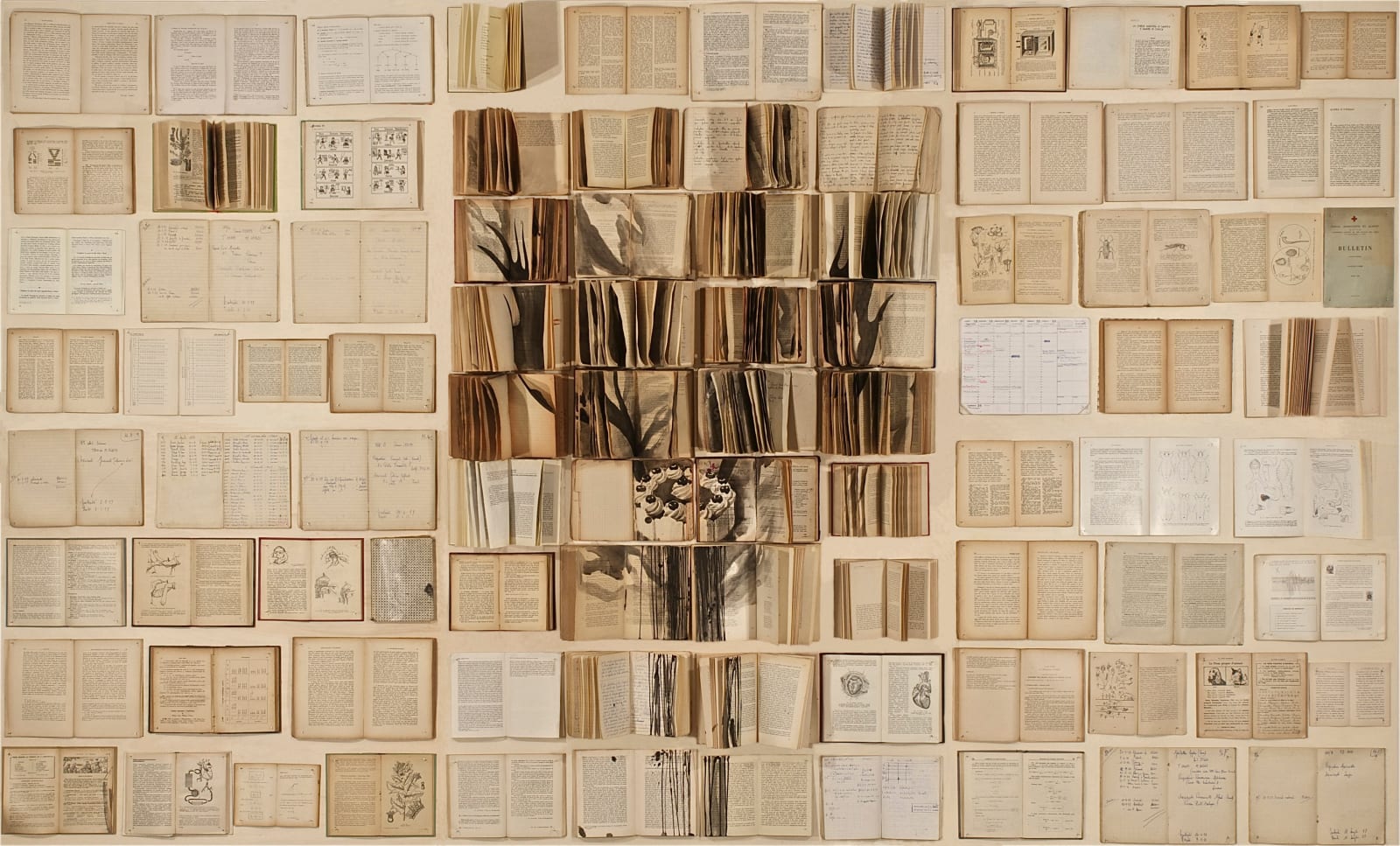 Ekaterina Panikanova, Un, due, tre, fuoco, 2012