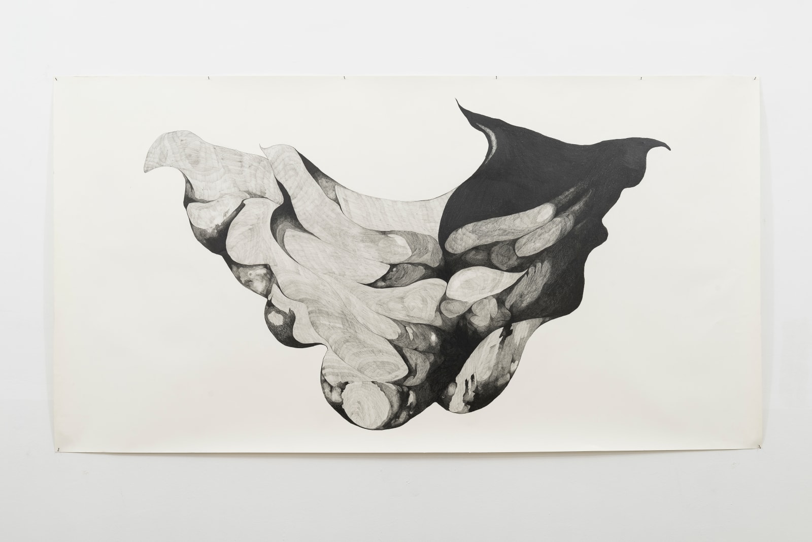 Giovanni Kronenberg, Untitled , 2016