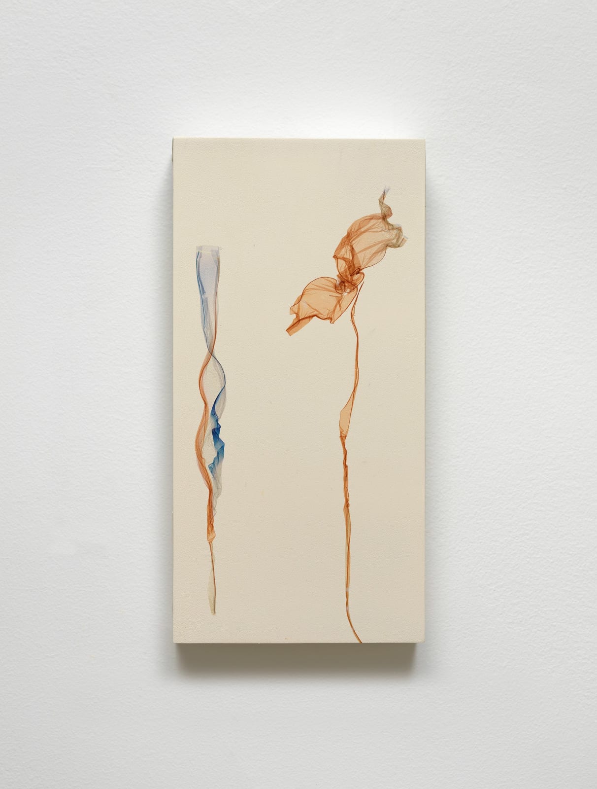 Beatrice Pediconi, Fiori del Mare <br> after Gianni D'Elia, 2025