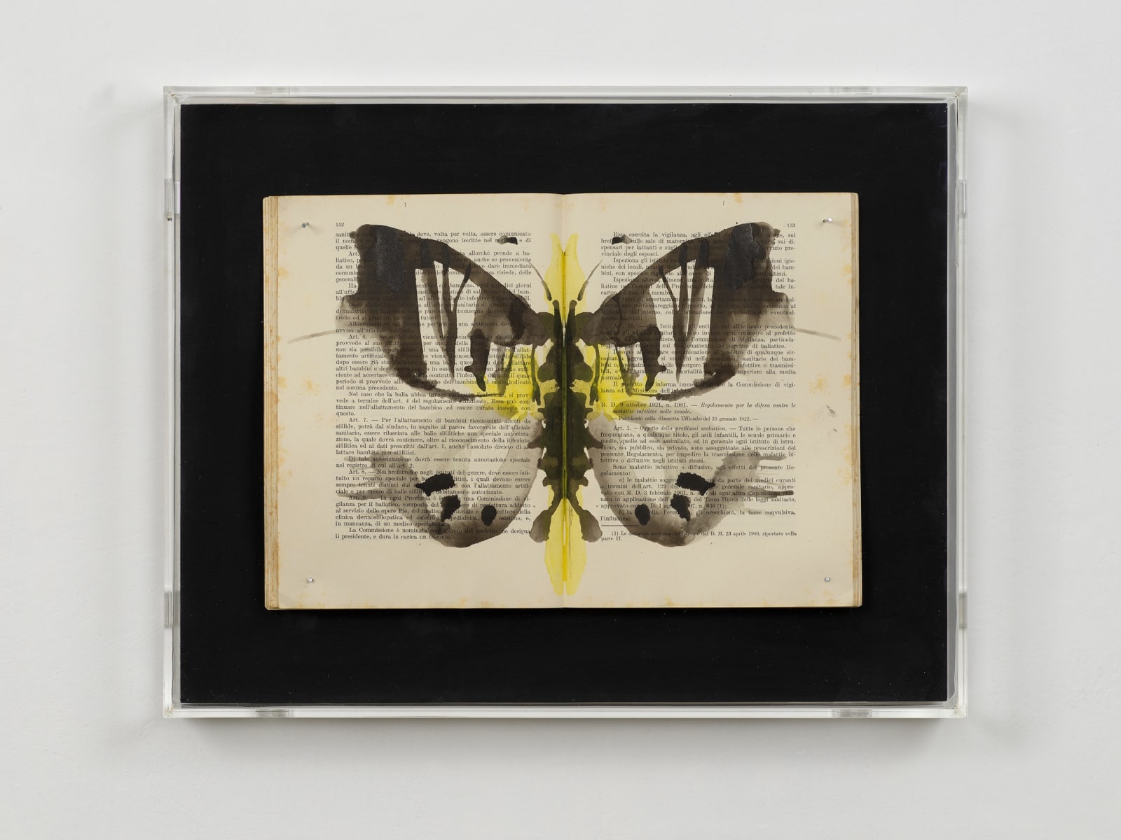 Ekaterina Panikanova, Box 276, 2019