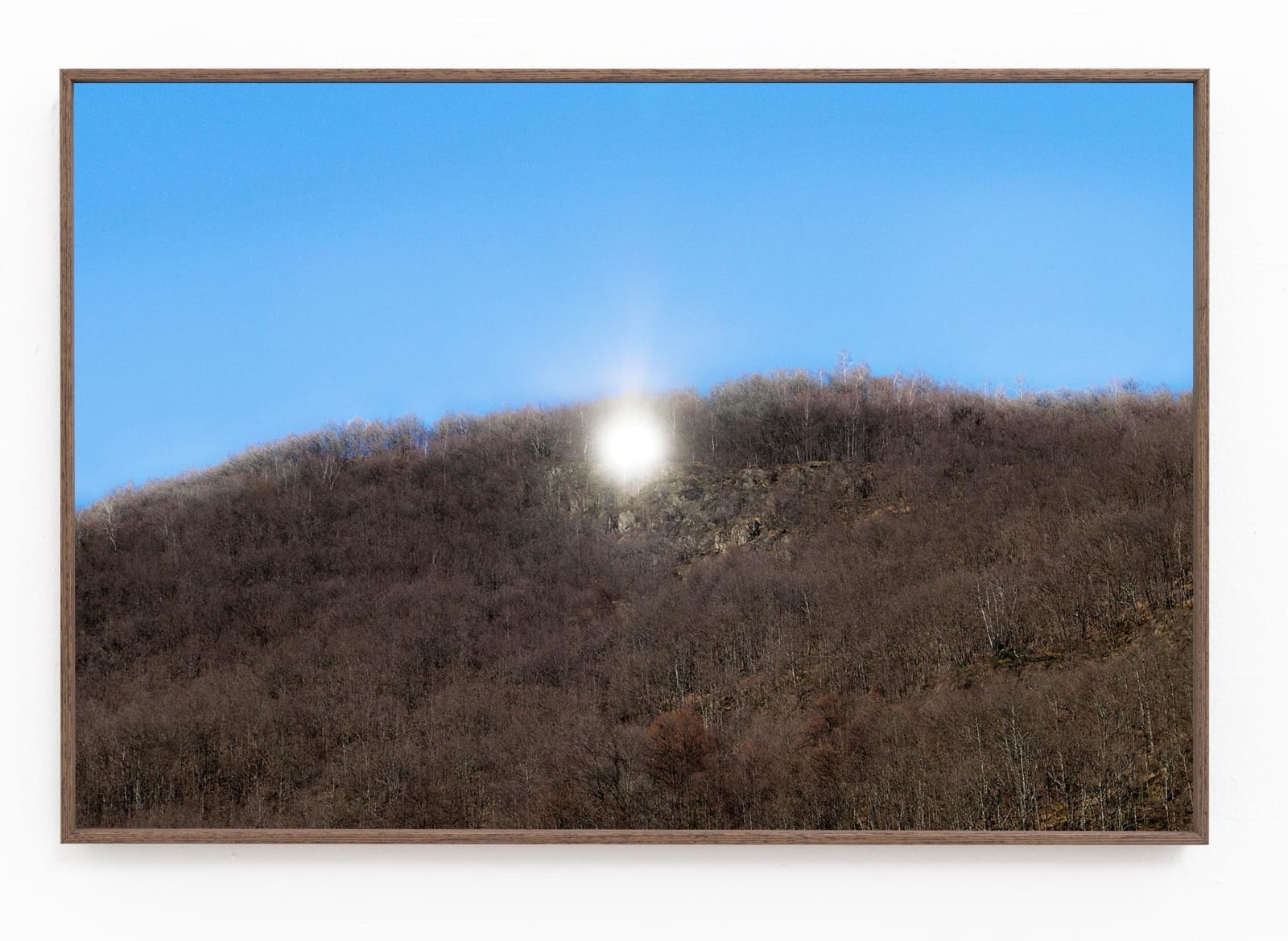 Silvia Camporesi, Il sole riflesso, 2020