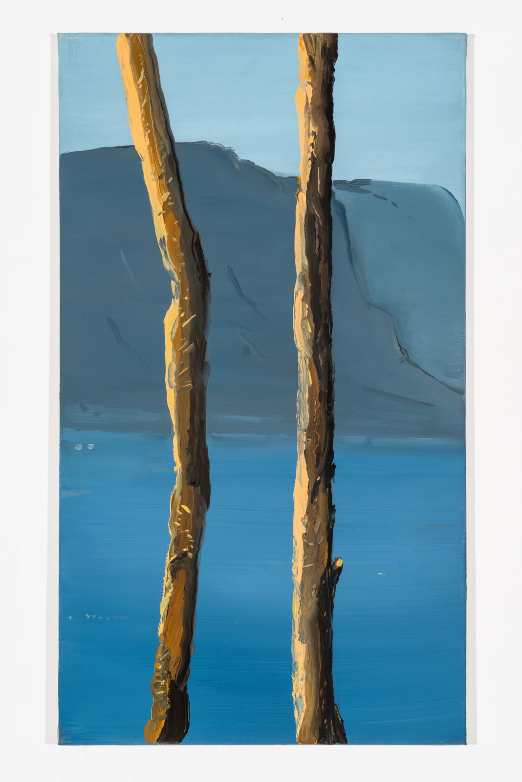 Michele Tocca, Belvedere #4, 2018