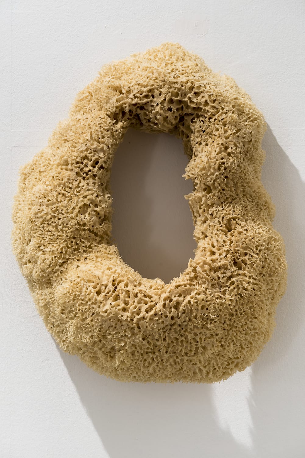 Giovanni Kronenberg, Escoriazioni antropologiche #8, 2012