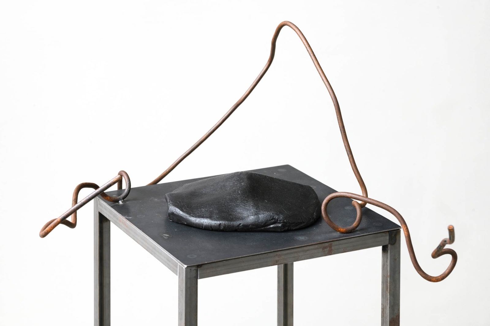 Serena Fineschi, Cacciata dal Paradiso (La resa), 2020