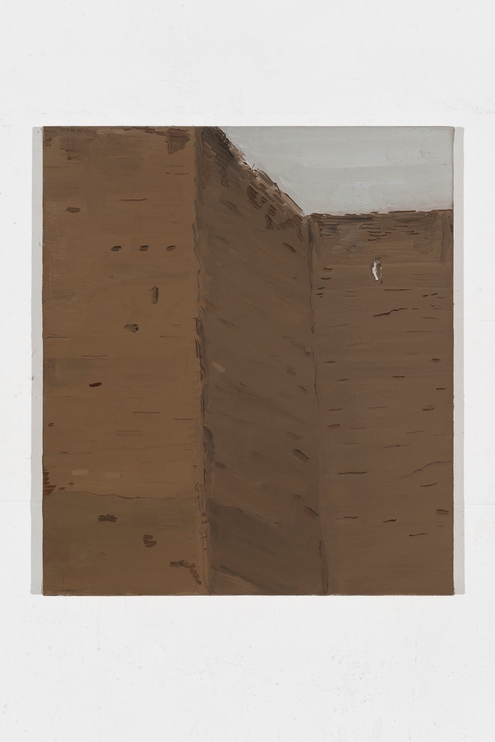 Michele Tocca, Mura Aureliane (viale del Policlinico) | Aurelian Walls (viale del Policlinico), 2019