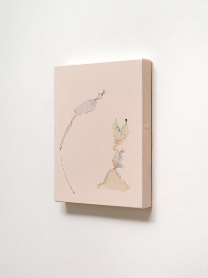 Beatrice Pediconi, I miei silenzi sono fiori curvi sotto la pioggia <br> after Michele Gentile, writer, 2024