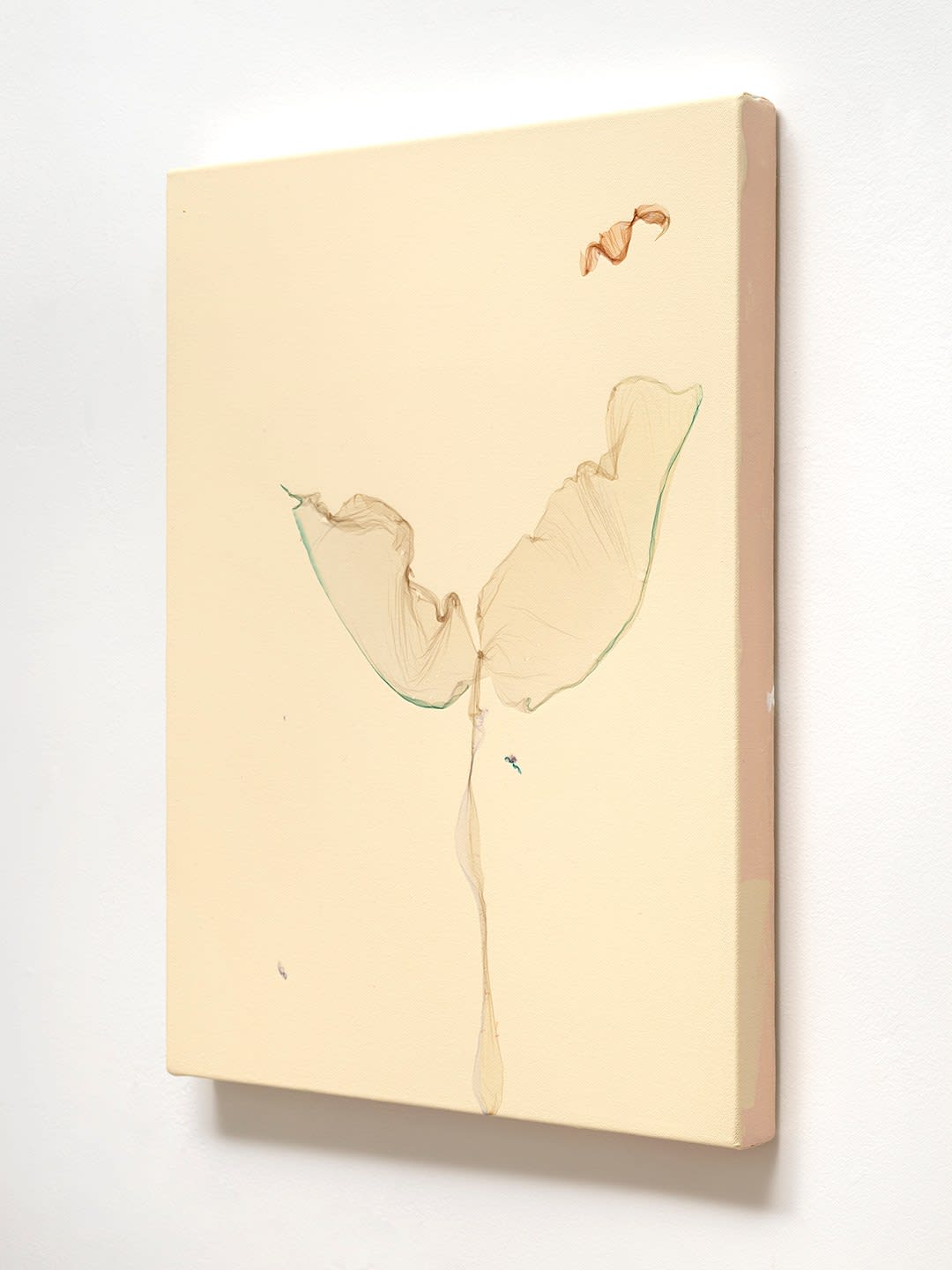 Beatrice Pediconi, Tra un fiore colto e l'altro donato, l'inesprimibile nulla <br> after Giuseppe Ungaretti, poet, 2024