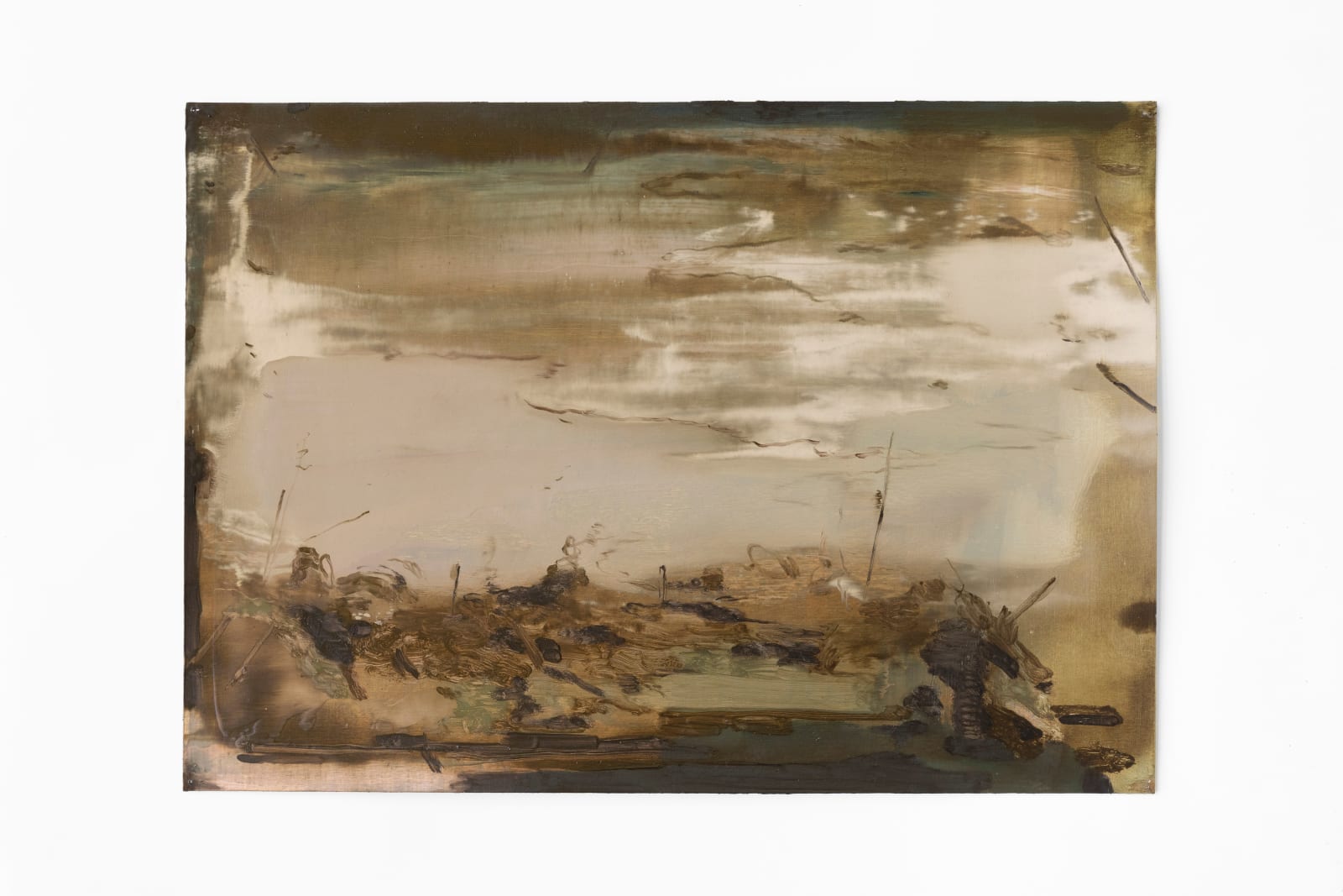 Nazzarena Poli Maramotti, Campo di Battaglia, 2019