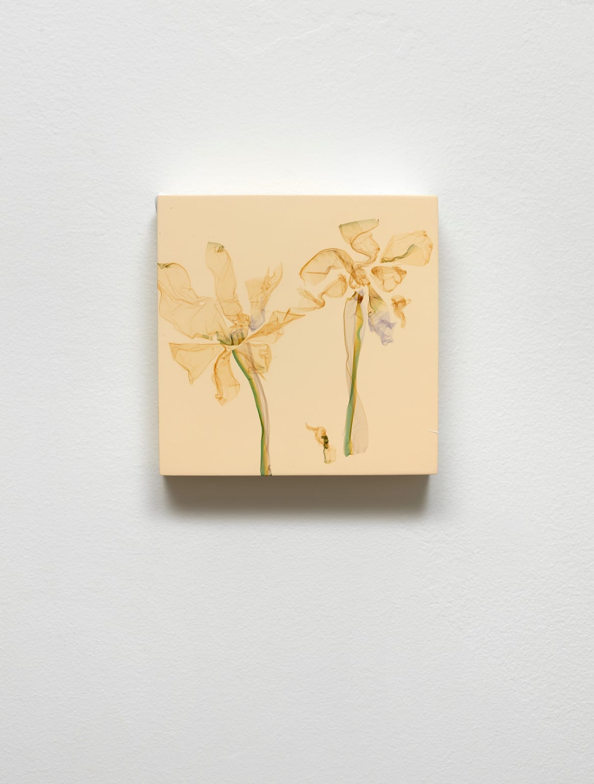 Beatrice Pediconi, La valle dei fiori <br> after Niviaq Korneliussen, 2025