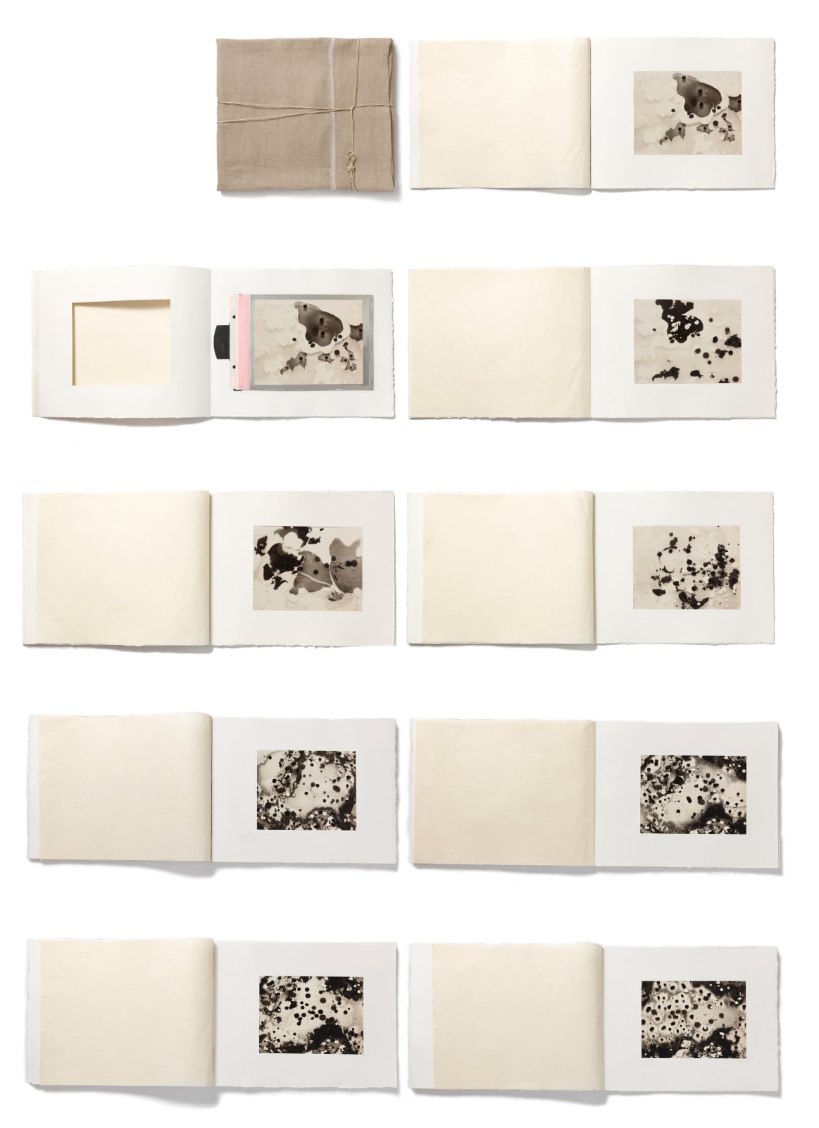 Beatrice Pediconi, Libro Settembre , 2015