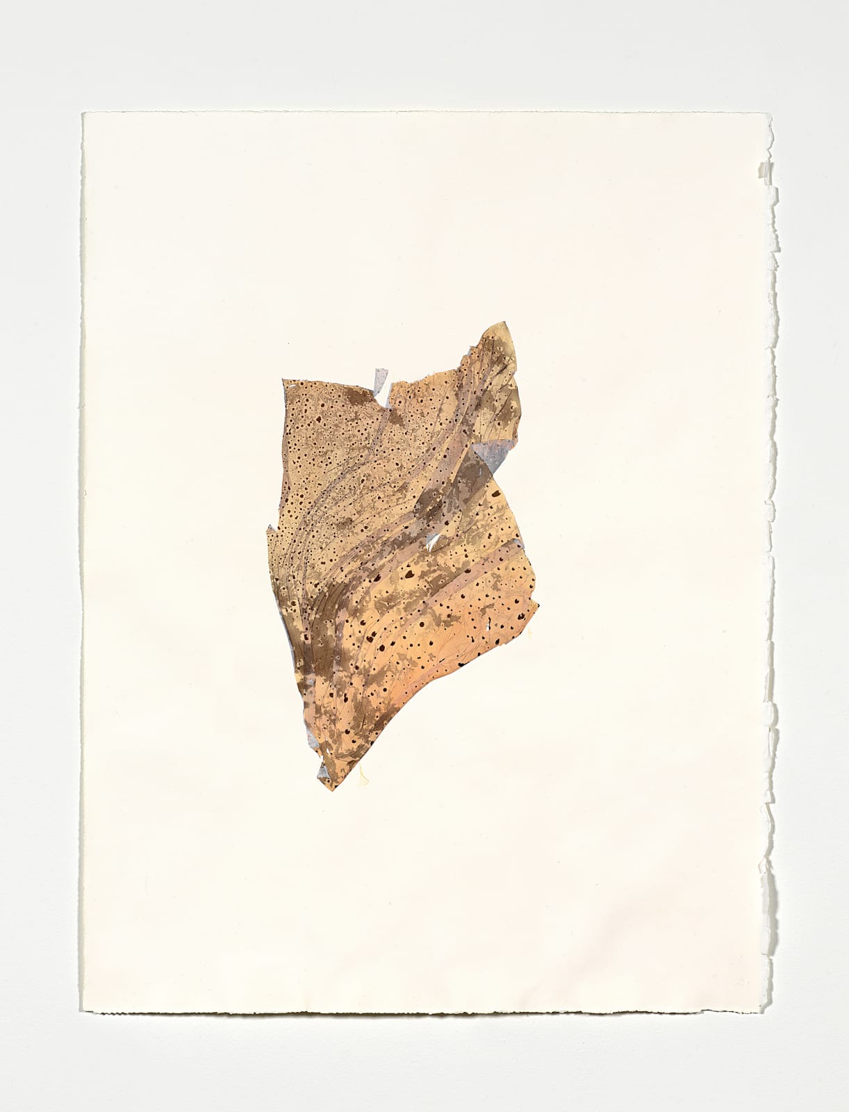 Beatrice Pediconi, Anamnesis #5, 2019