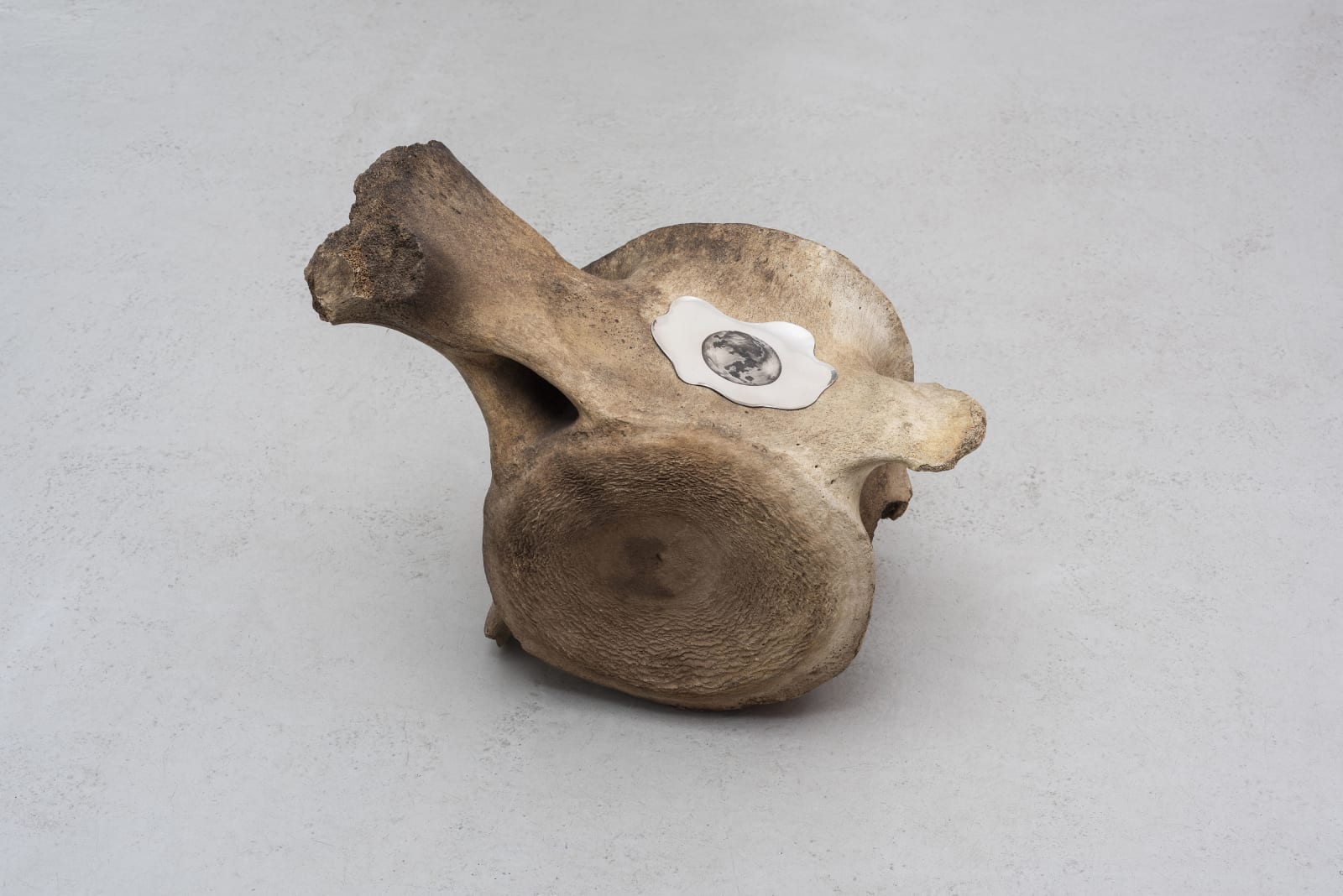 Giovanni Kronenberg, Dato che invecchiare solleva il giudizio dall'impazienza della gioventù, 2011