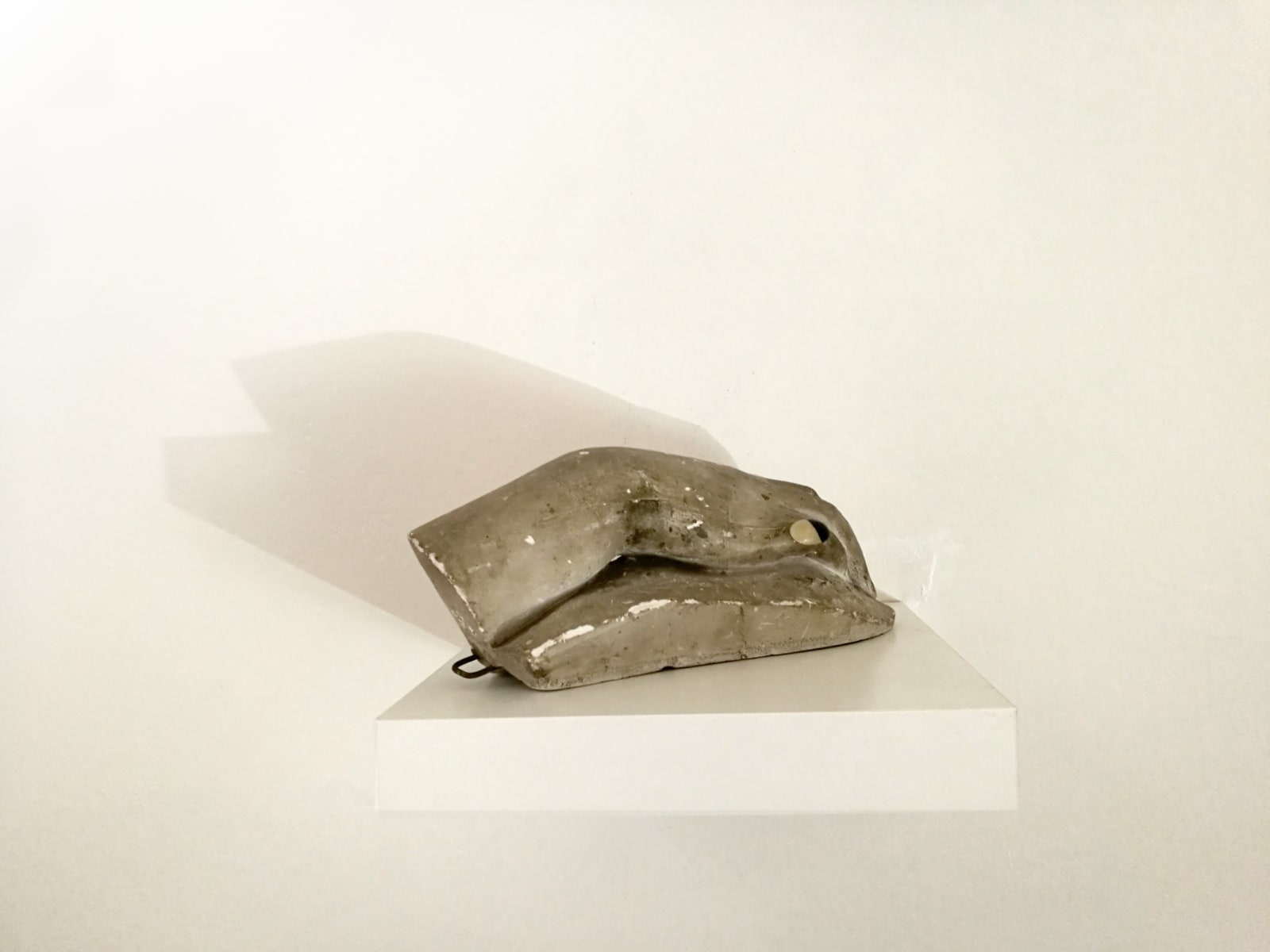 Mariella Bettineschi, Le mani vedono, 2008
