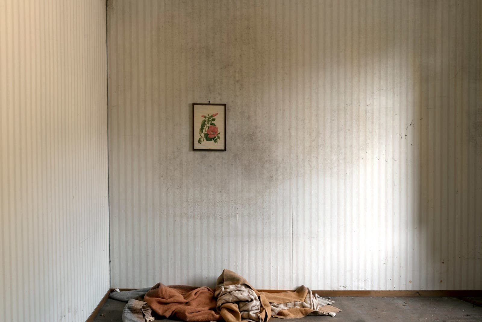 Silvia Camporesi, Beautiful Places, 2013