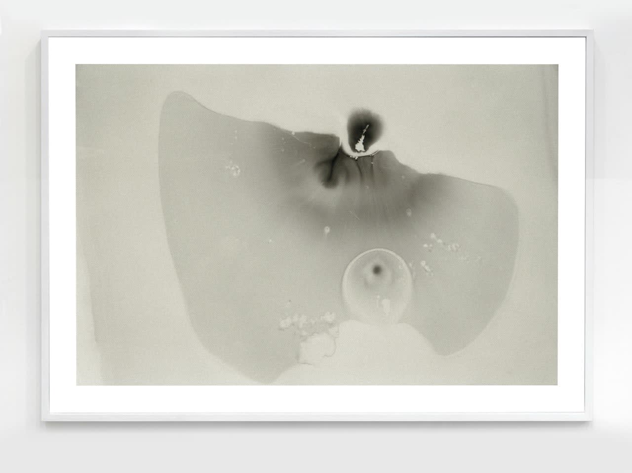 Beatrice Pediconi, 007 from the X series, 2013