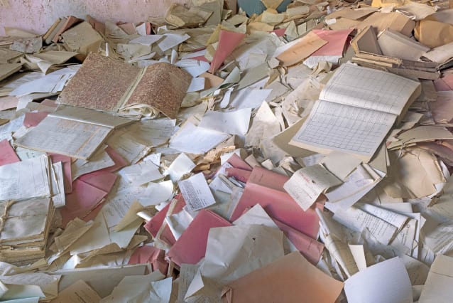 Silvia Camporesi, Archivio, 2013