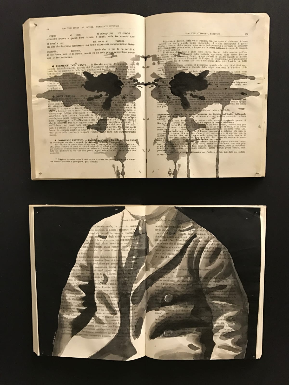 Ekaterina Panikanova, Box 249, 2017