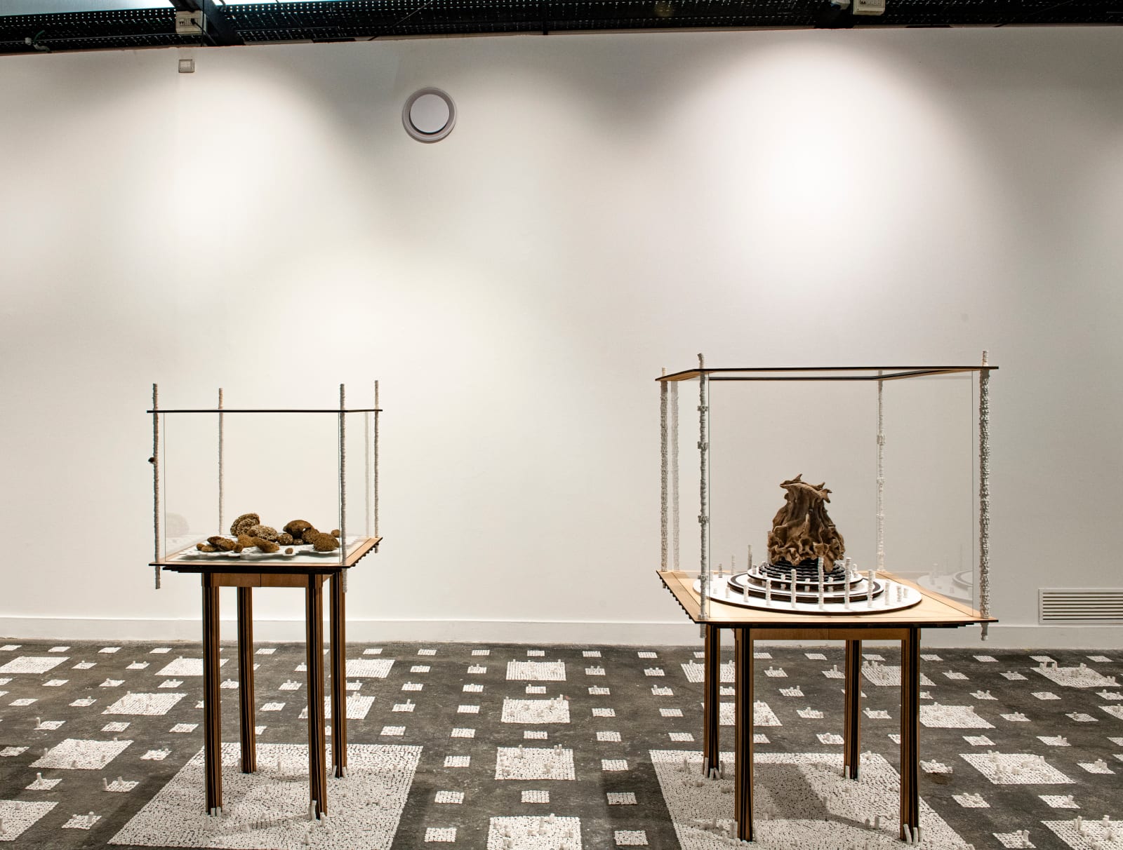 Michele Guido, giardino ideale project_2016/2022_Installation view Macro, 2022