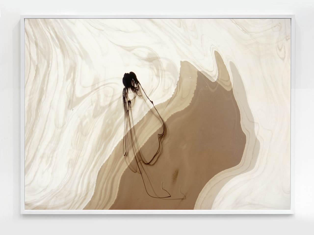Beatrice Pediconi, Scomposizione #1, 2006