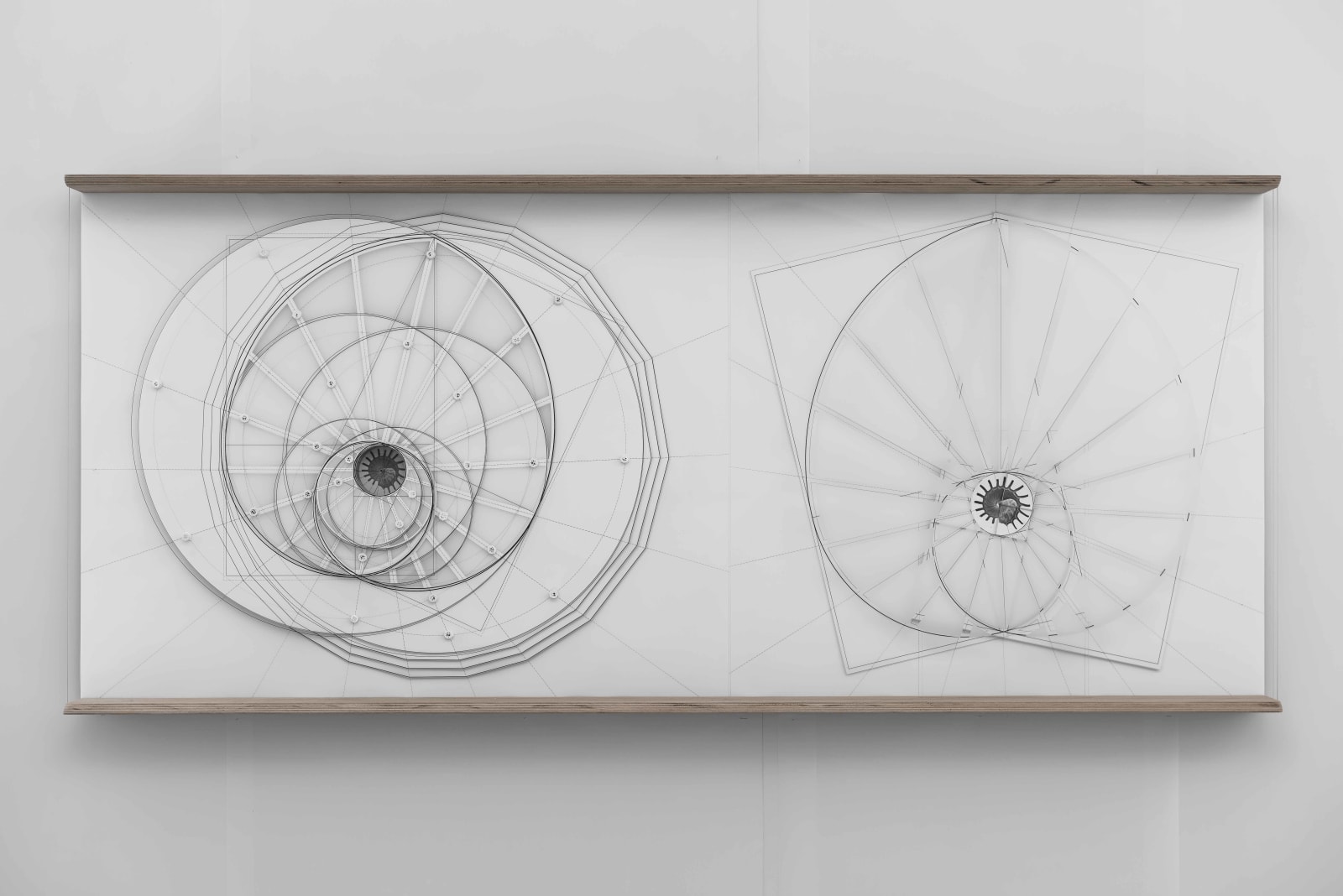 Michele Guido, studio per stellaria solaris garden project _2016, 2016