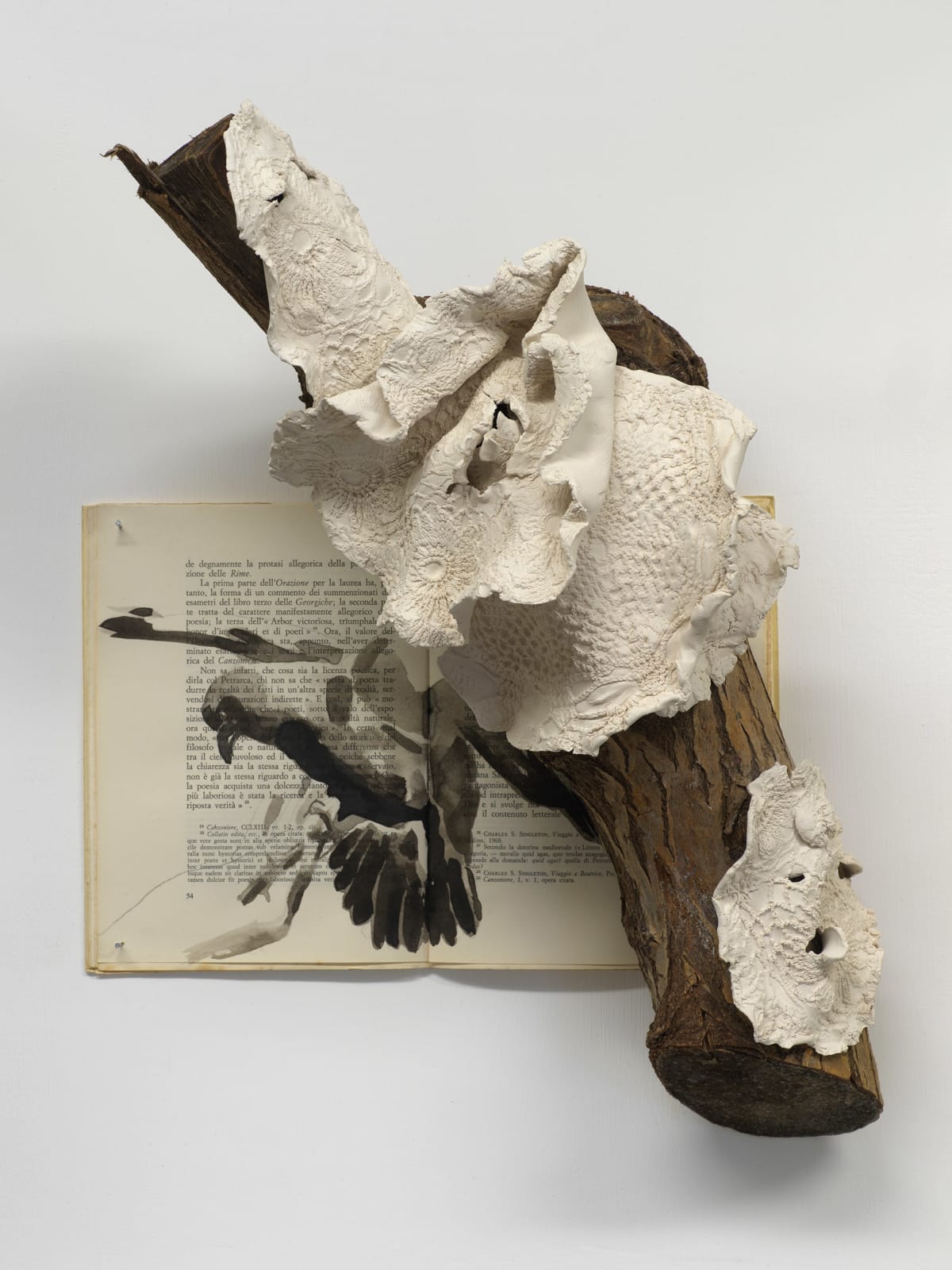 Ekaterina Panikanova, Attraversando Il Mio Giardino #6, 2019