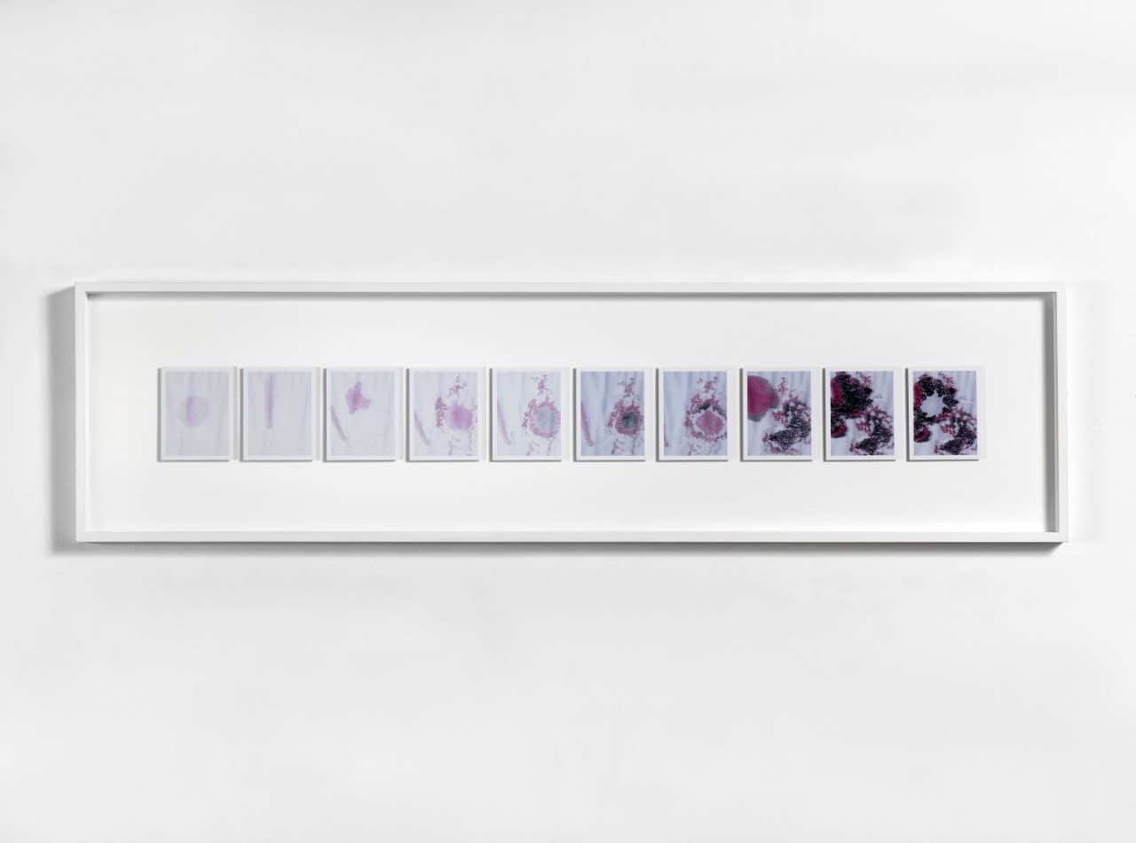 Beatrice Pediconi, Ten, 2015