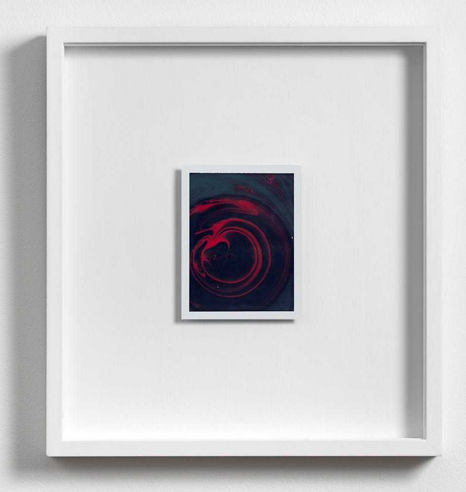 Beatrice Pediconi, Gaea #2, 2019