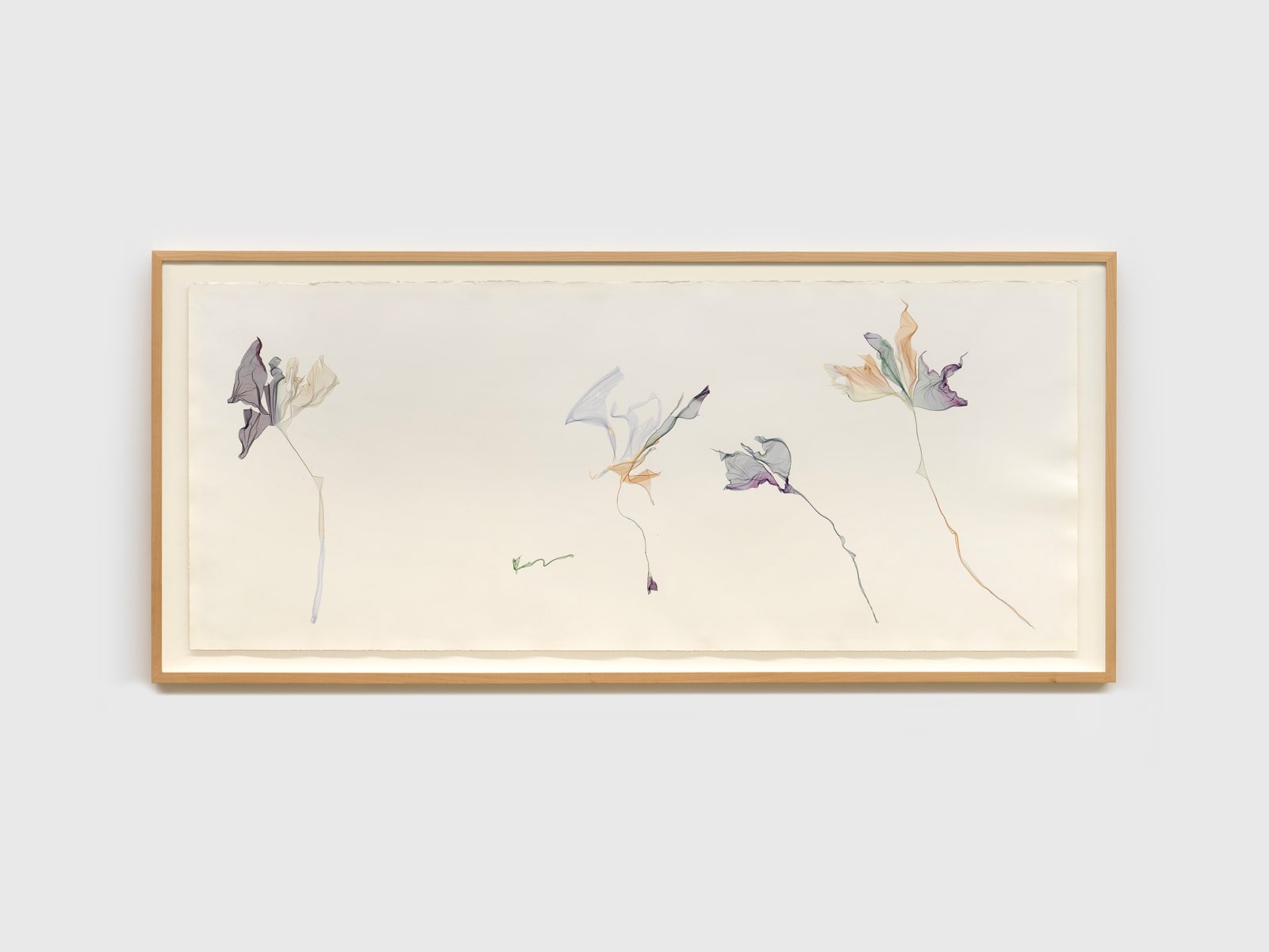 Beatrice Pediconi, Lotus Flowers At Sunrise, 2025