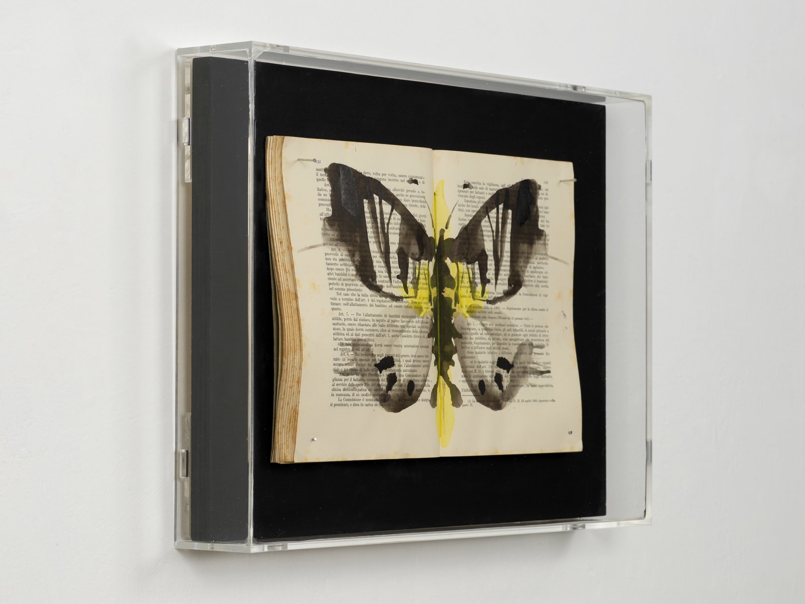Ekaterina Panikanova, Box 276, 2019