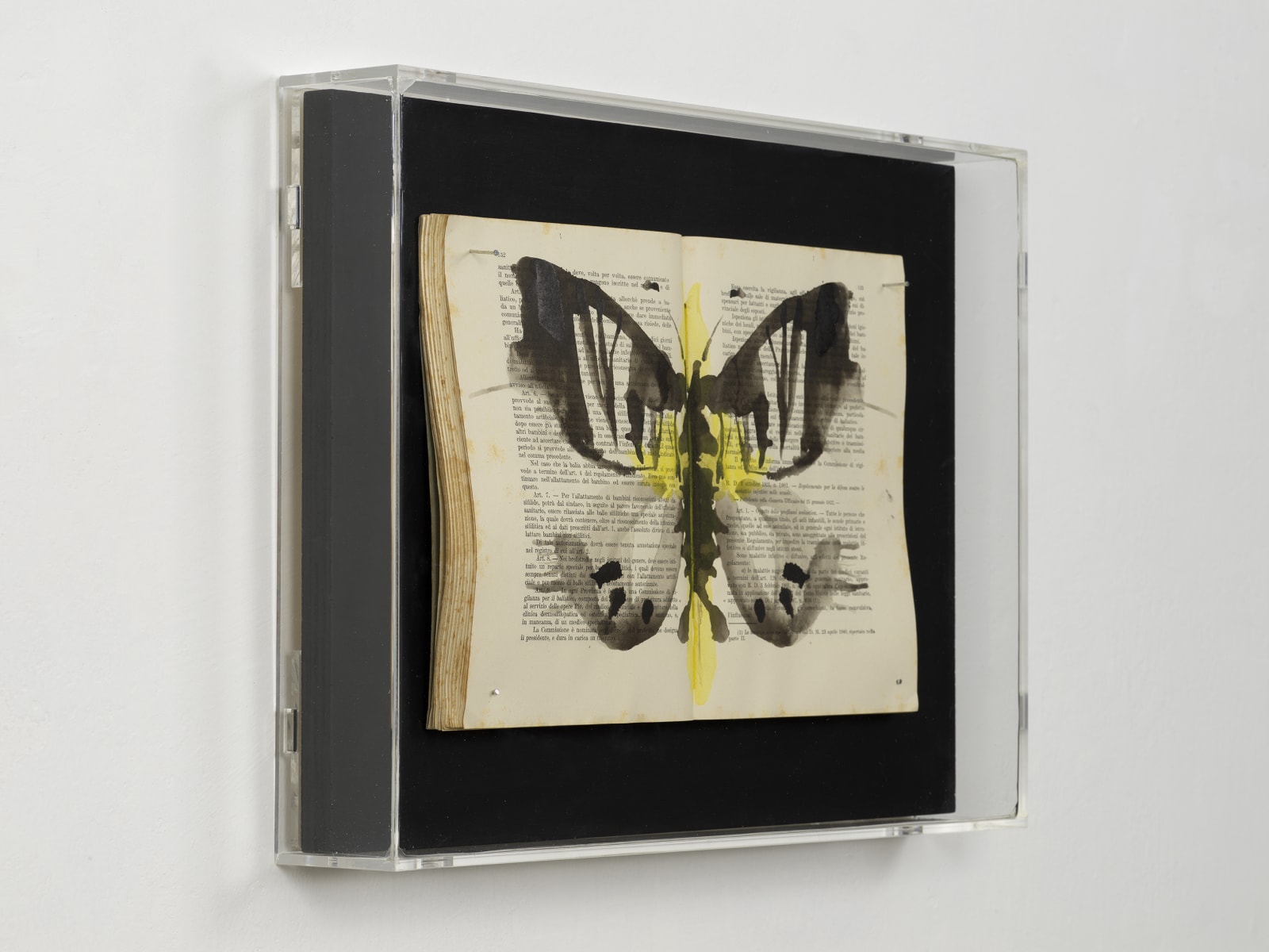 Ekaterina Panikanova, Box 276, 2019