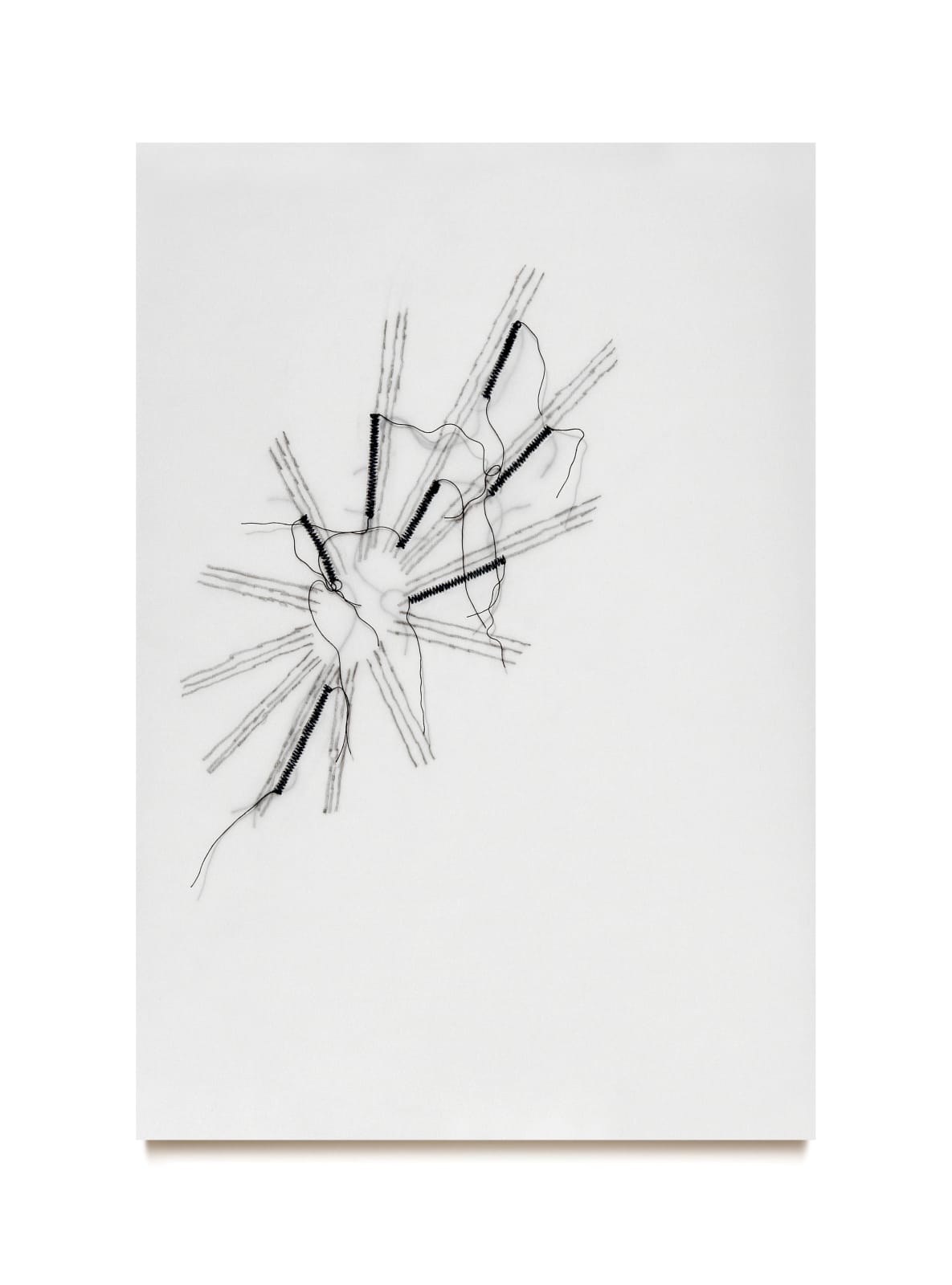 Mariella Bettineschi, Amori segreti, 2008