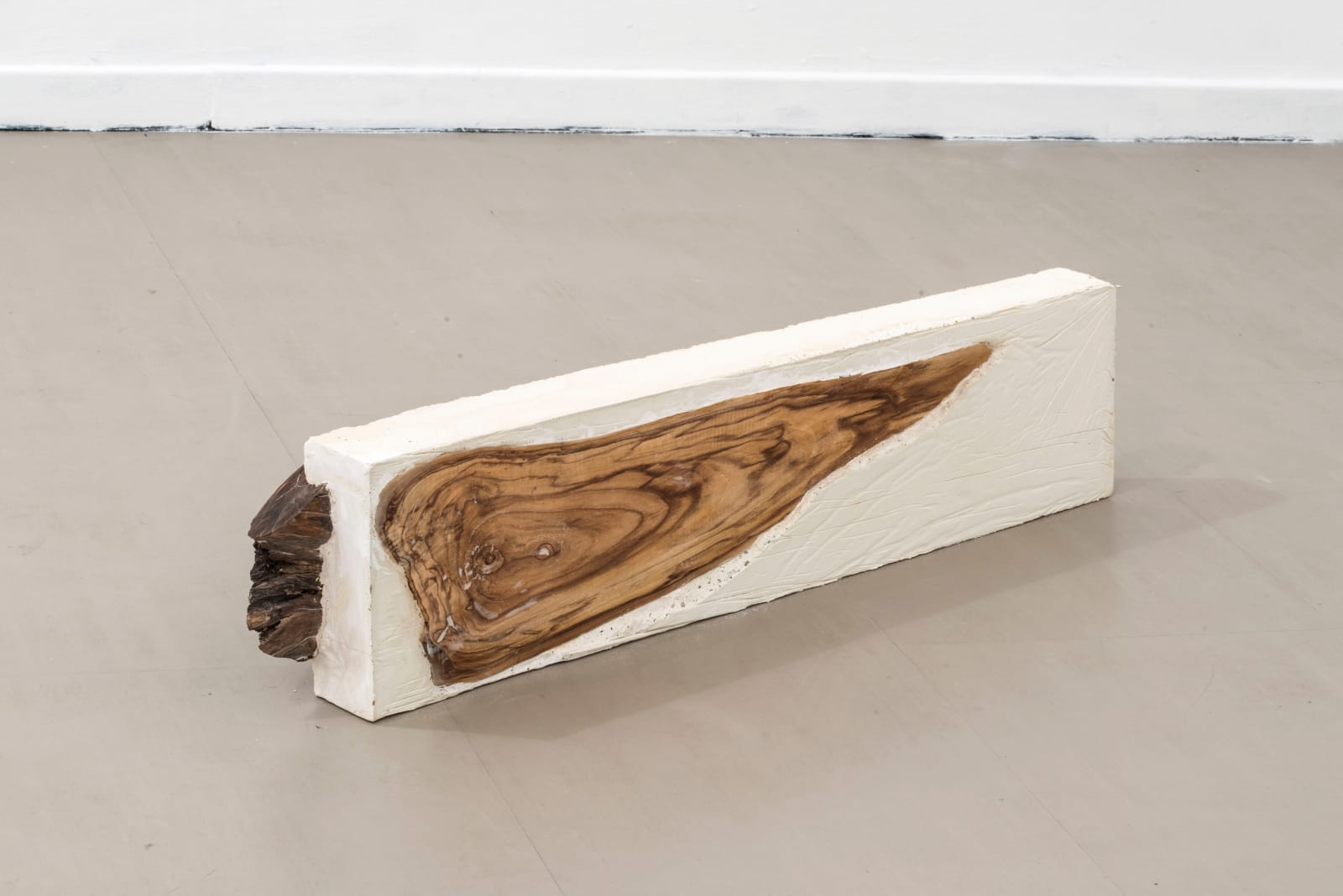 Giovanni de Cataldo, Venere , 2017